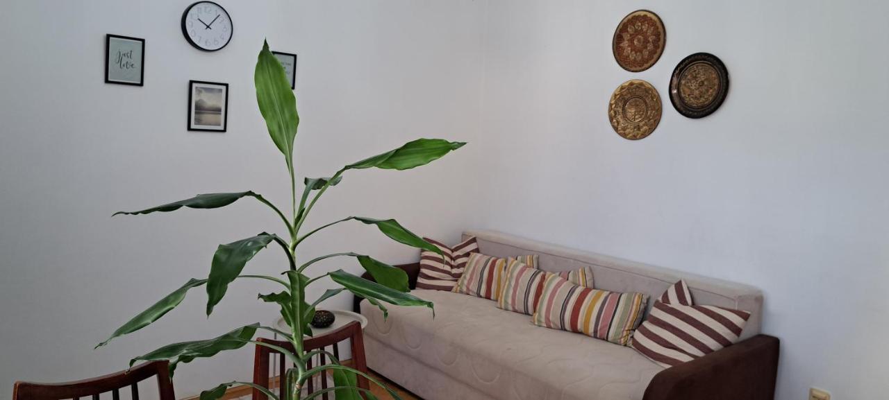 Apartment Bina Tivat Exteriér fotografie